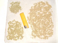 ICE O Strawberry glue THseeds