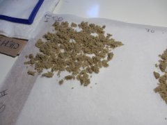 1ere passe 120 microns DeadPrez OG Lifeblood's seeds ICE O