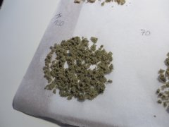 2eme passe 120 microns DeadPrez OG Lifeblood's seeds ICE O