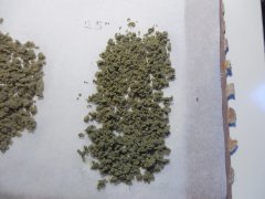 25 microns DeadPrez OG Lifeblood's seeds ICE O