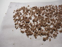 1ere passe 70 microns Strawberry glue Thseeds ICE O