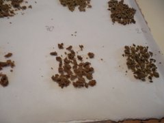 2eme passe 70 microns Diesel moonshine Mosca seeds ICE O