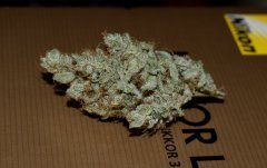 DSC_0009.JPG