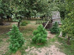 IMG_4712.jpg