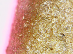 ICE O Chem#4 x OTM
