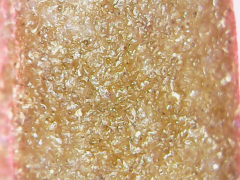 ICE O Chem#4 x OTM