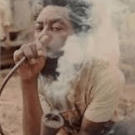 BurningSeeds
