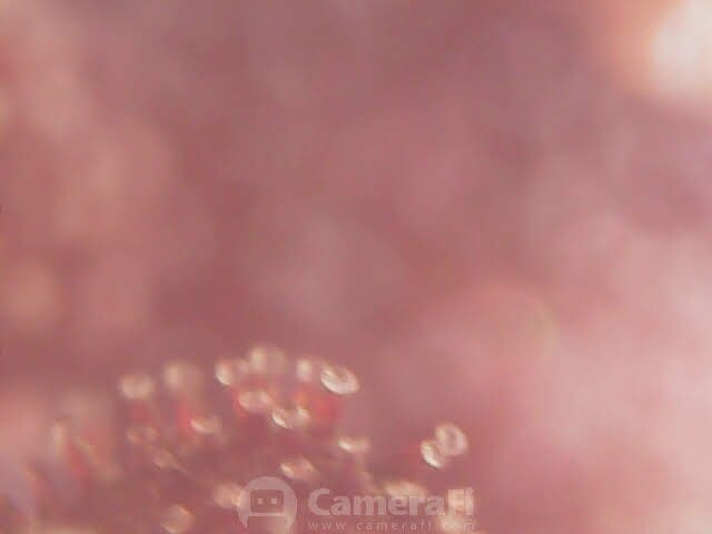 tri.jpg.4109ac3850cf2d413a92fc0476772ee2.jpg