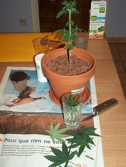 03.jpg