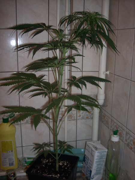 03.jpg