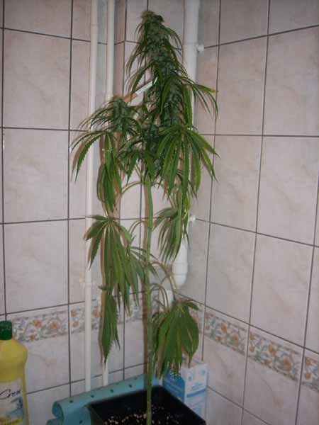 06.jpg