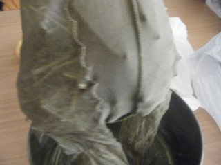07.jpg