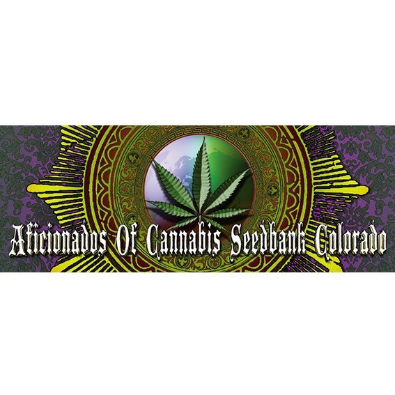 Aficionados Of Cannabis Seedbank Colorado