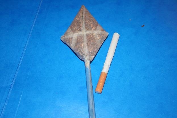 149.jpg