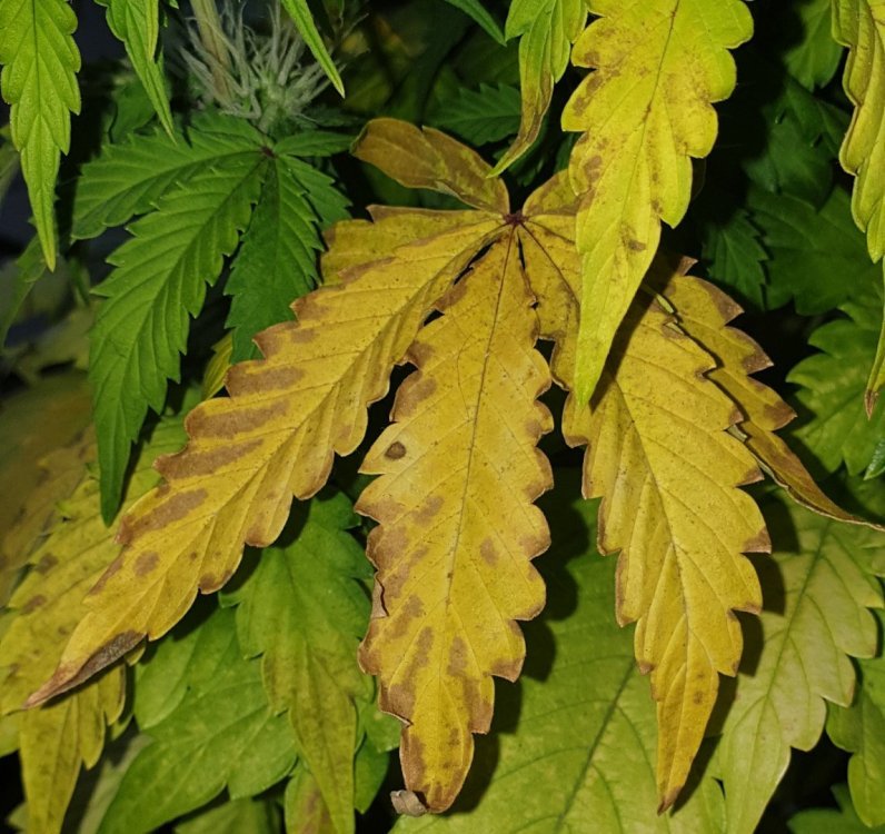 20190910_095330.jpg