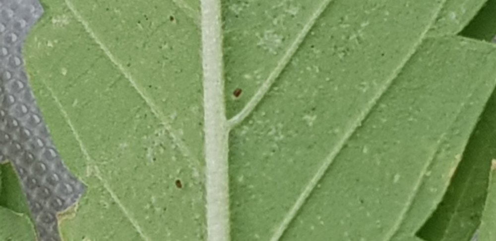 20190918_174812.jpg
