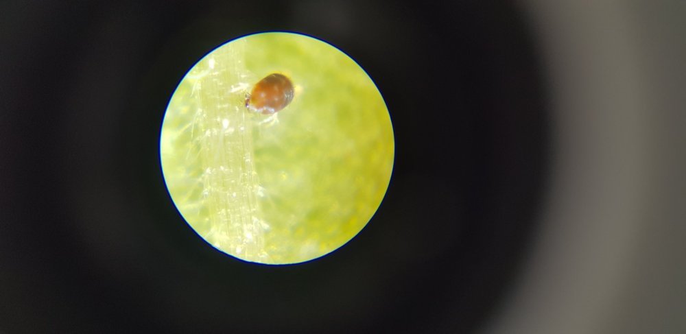 20190922_134414.jpg