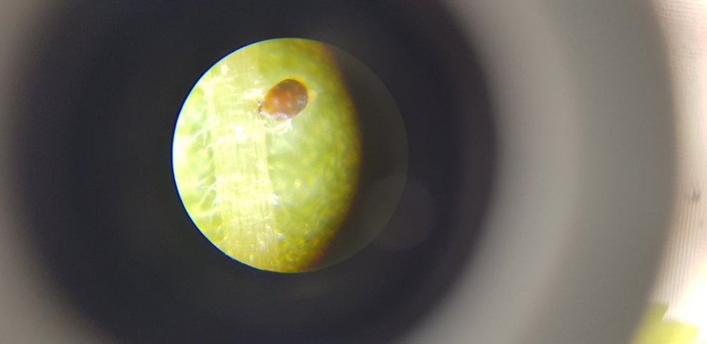 20190922_134415.jpg