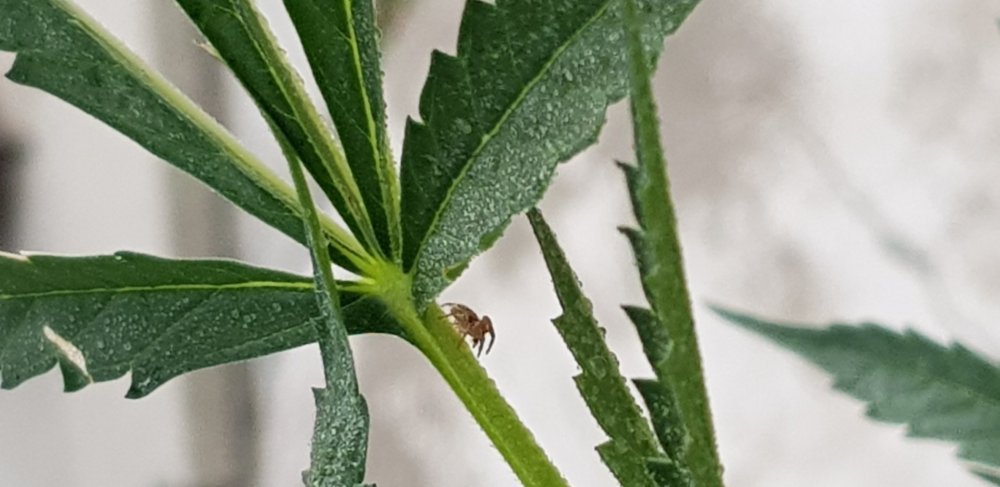 20190923_163030.jpg