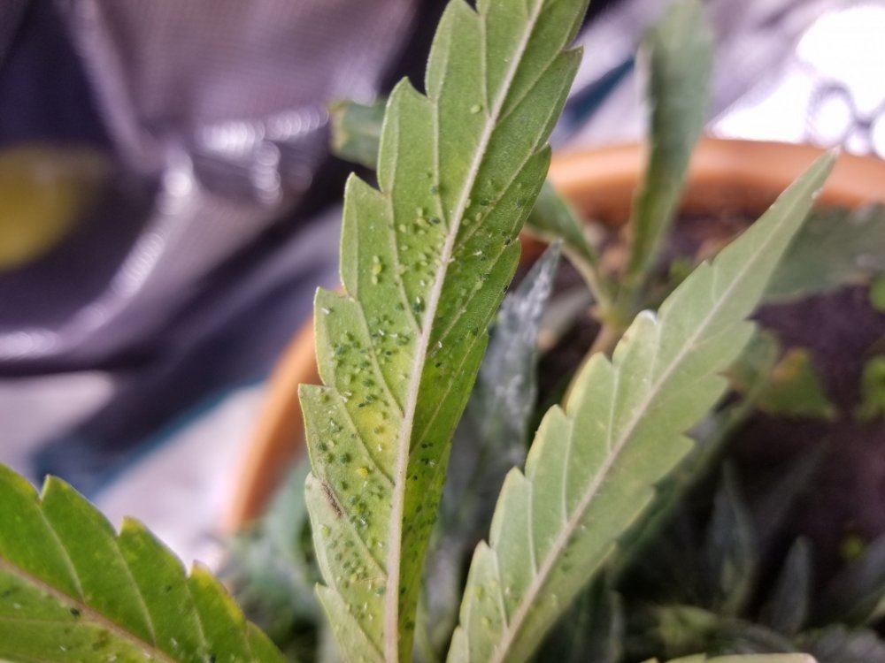 20190923_180901.jpg