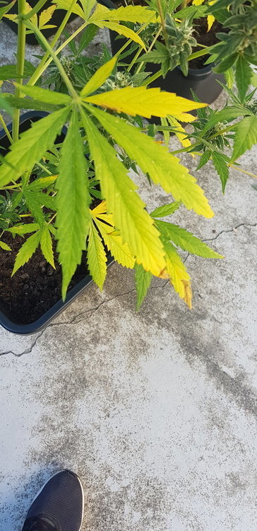 20190930_122123.jpg
