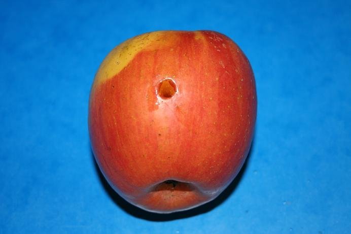 73.jpg