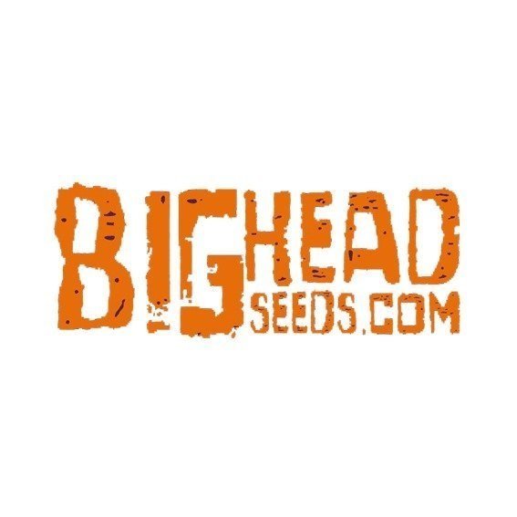 BigHeadSeeds.jpg