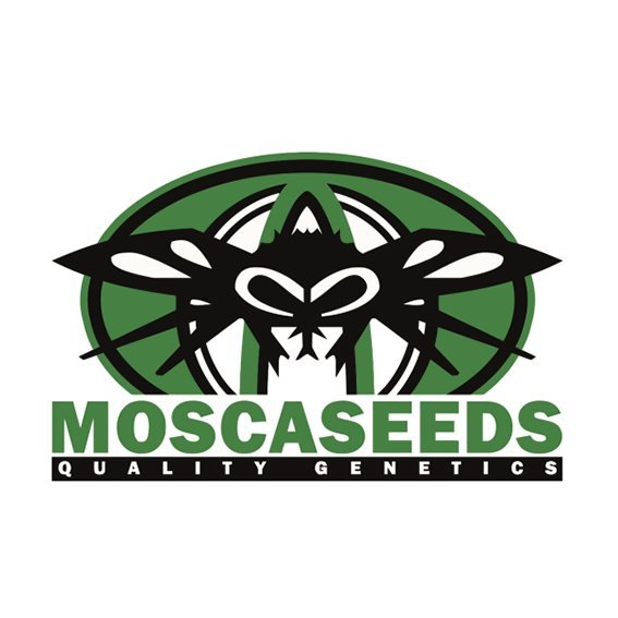 MoscaSeeds.jpg