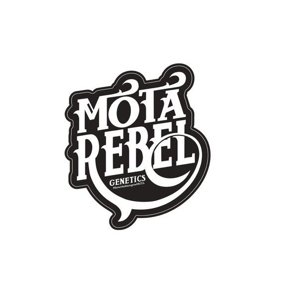 Motarebel Genetics