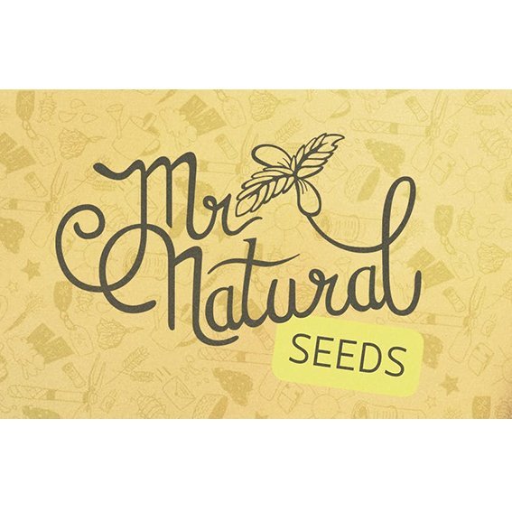 MrNaturalSeeds.jpg