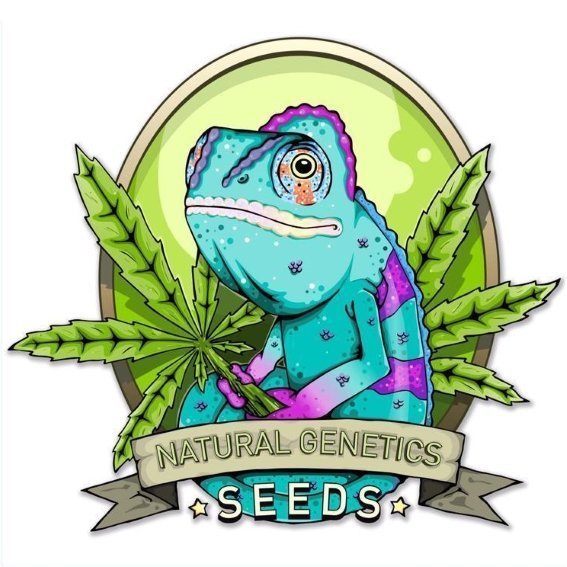 NaturalGeneticsSeeds.jpg