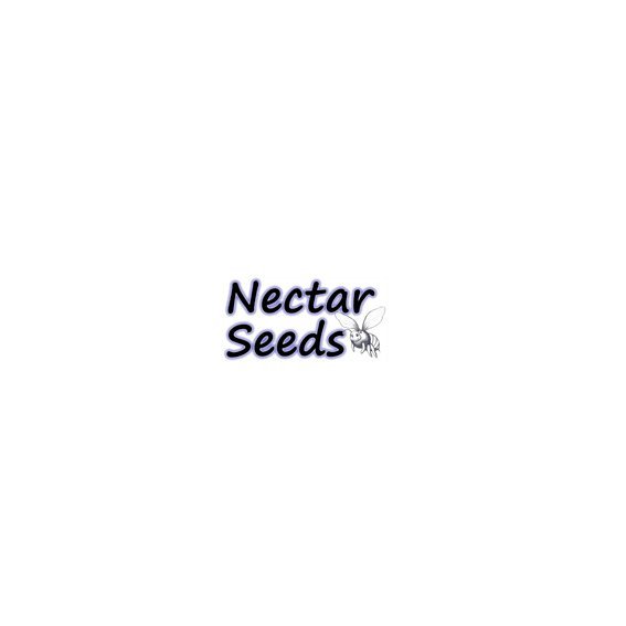 NectarSeeds.jpg