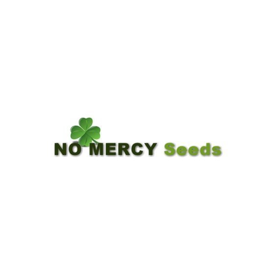 No Mercy Seeds