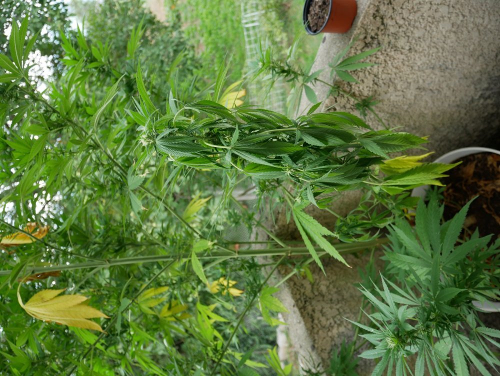 P1000563.JPG