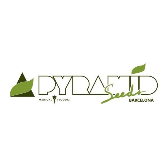 Pyramid.jpg