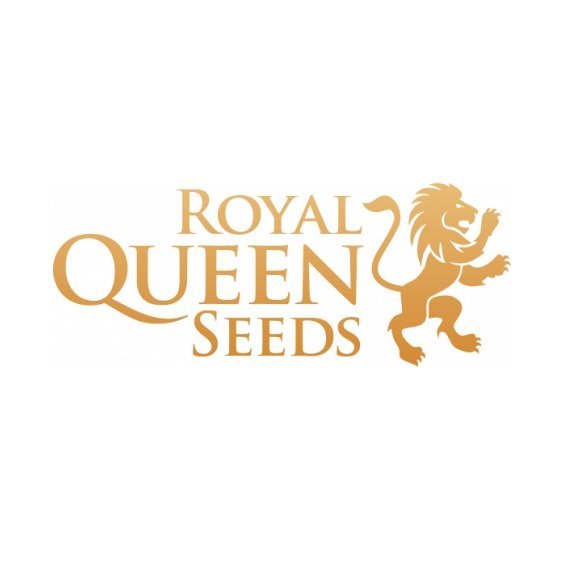 Royal Queen Seeds