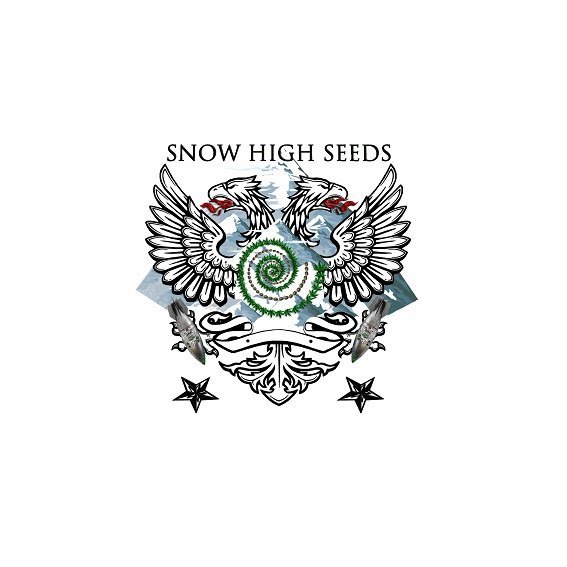 SnowHighSeeds.jpg