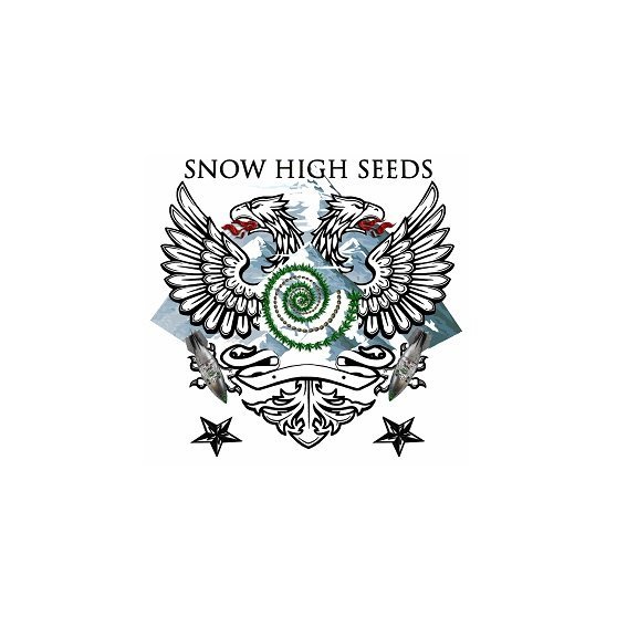 SnowHigh Seeds