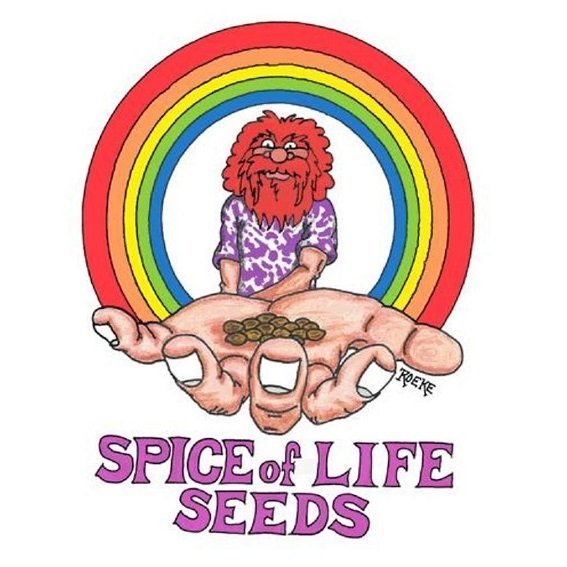 Spice of Life