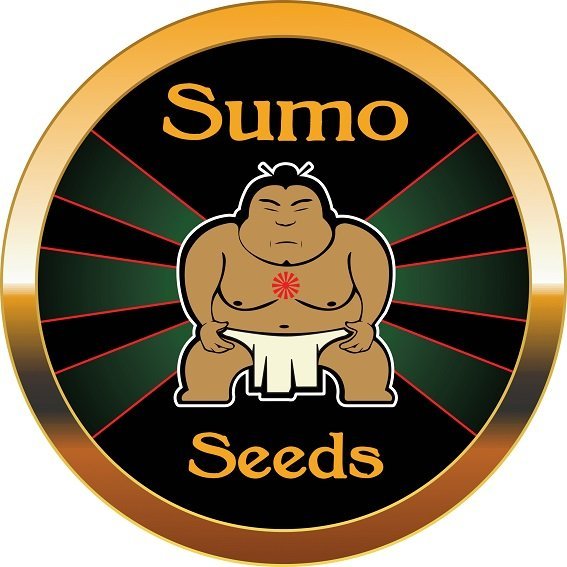 Sumo Seeds