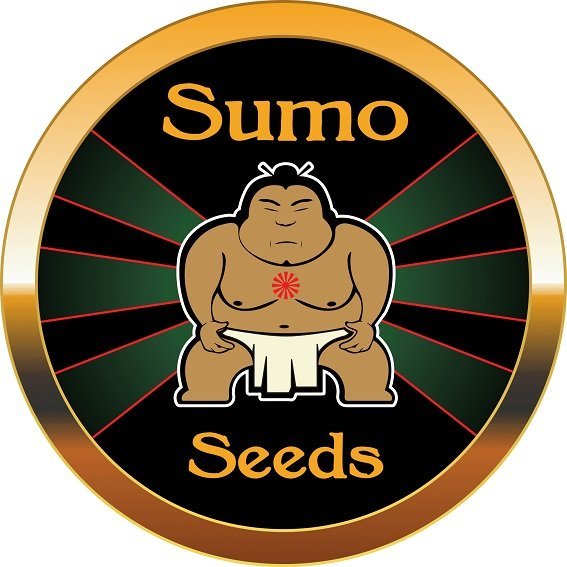 SumoSeeds.jpg