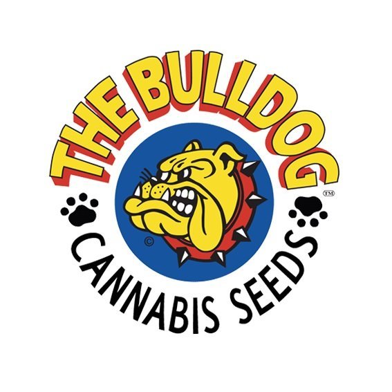 TheBulldogSeedbank.jpg