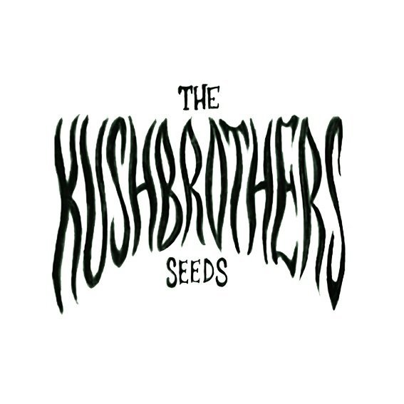 TheKushbrothersSeeds.jpg