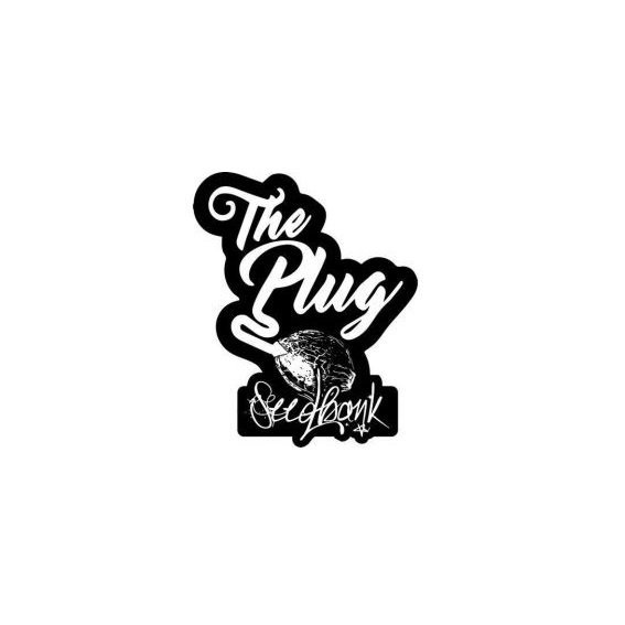 The Plug SeedBank