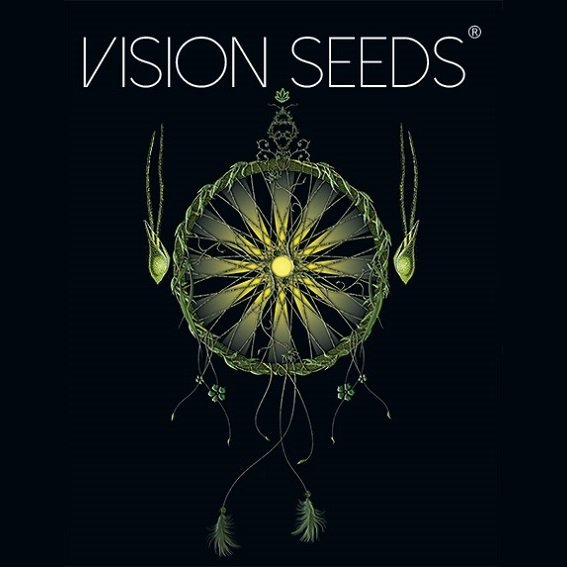VisionSeeds.jpg