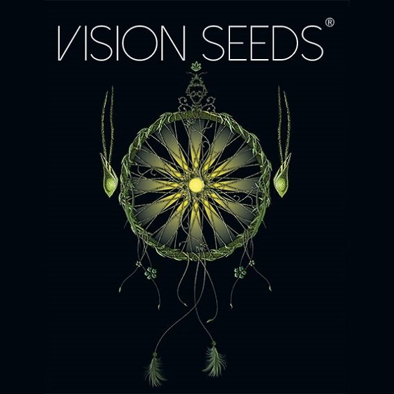 Vision Seeds