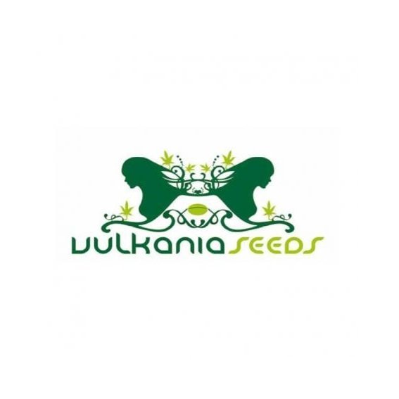 Vulkania Seeds