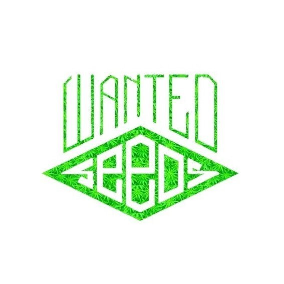 WantedSeeds