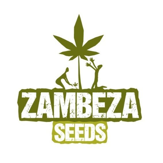 ZambezaSeeds.jpg