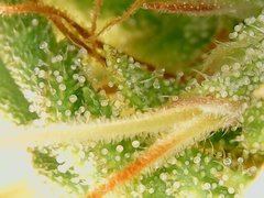 190929_193531_cleaned.jpg